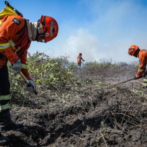 Mato Grosso decreta emergência ambiental e proíbe uso do fogo até novembro