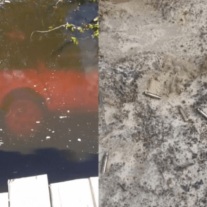 Paramilitares promovem massacre de 3 camponeses na Amacro; lideranças na região denunciam negligência