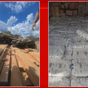 Fiscalização apreende R$ 7,3 milhões em mercadorias irregulares no DF