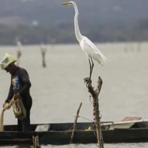 Mudanças aprovadas para o seguro-defeso previnem fraudes, diz relator
