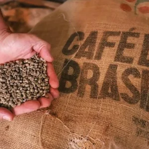 Café especial brasileiro pode gerar US$ 17,5 milhões na Austrália