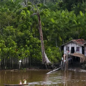 Projeto leva tratamento gratuito a doenças negligenciadas no Amazonas