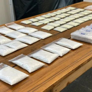 Polícia Militar apreende drogas e prende cinco em Nova Mutum