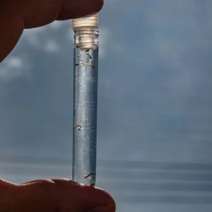 Combate à malária é reforçado com novas ações | Geral