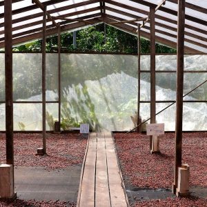 Edital seleciona projetos de inovação no Amazonas, Pará e Rondônia