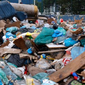 Estudo quer mostrar potencial de aproveitamento de resíduos no país