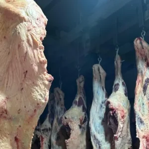 Serviço de Inspeção Municipal garante qualidade da carne e segurança em Porto Velho