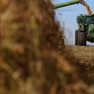 Colheita de soja na Argentina começa com lavouras em bom estado