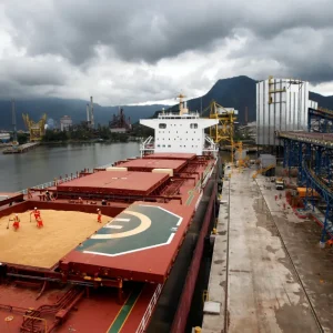 Preços da soja caem no Brasil e encostam no menor nível em cinco anos