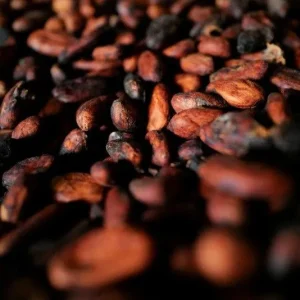 Senado aprova projeto que prevê padrões mínimos de cacau para chocolates