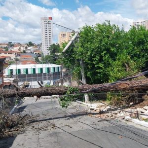 o que acontece se houver processo de caducidade