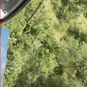 VÍDEO:idoso de 70 anos desaparecido é encontrado em área de mata em MT