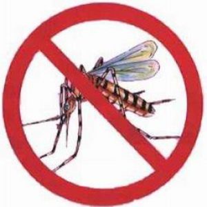 Epidemia de dengue já causou 15 mortes em MT • Olhar Direto