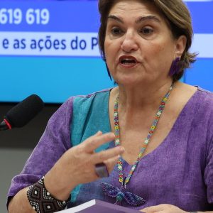 Brasil propõe pacto regional contra feminicídio no Mercosul