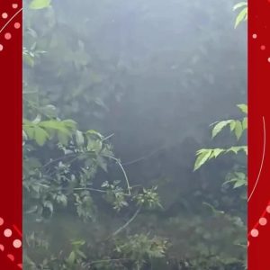 Acusado de matar criança de 5 anos durante discussão vai a júri