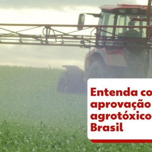 MPT pede que Brasil proíba uso do glifosato, agrotóxico mais vendido no mundo