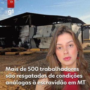 Mato Grosso lidera resgates por trabalho escravo e registra avanço dos conflitos no campo em 2025