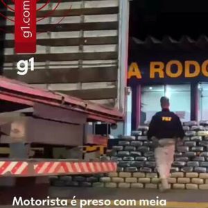 Cão farejador indica fundo falso onde meia tonelada de ‘supermaconha’ foi apreendida em MT