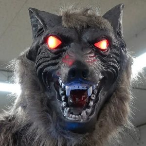 Lobos robôs viram arma improvável contra ataques de ursos no Japão