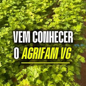 VALORIZANDO QUEM PRODUZ EM MT! 

A agricultura familiar é sinônimo de dedicação,…