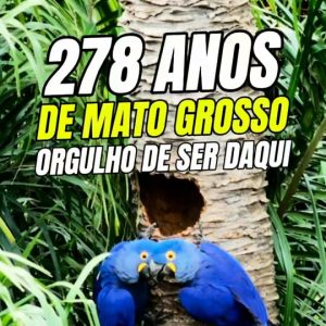 ORGULHO DE SER MATO-GROSSENSE!Mato Grosso faz 278 anos e o nosso maior presen…