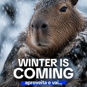 O “crima ixfriou” e a gente tá como?

O frio em Mato Grosso é curto, então a ge…