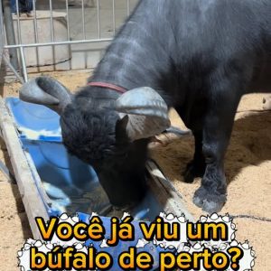 AGRO, INOVAÇÃO E OPORTUNIDADES NO PARQUE NOVO MT! 

A Green Farm 2026 já começou…