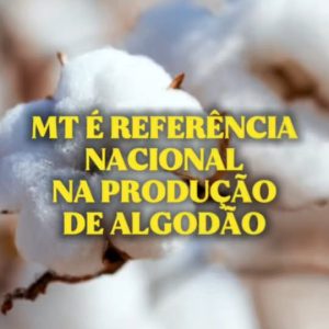 AGROINDÚSTRIA EM EXPANSÃO 

O GovMT está avançando mais uma vez e fortalecendo t…