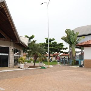 Projeto incentiva envelhecimento ativo com esporte e convivência social