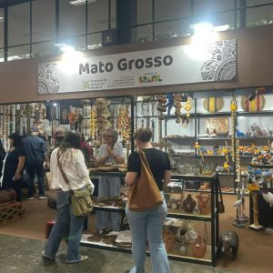 Após faturar R$ 305 mil em feira nacional, MT abre seleção para Fenearte