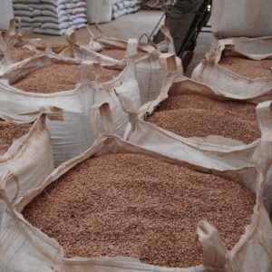 Risco de geada no Sul agrava escassez e faz preço do feijão bater recordes