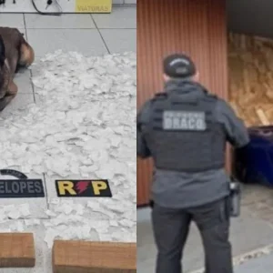Operação integrada causa prejuízo de R$ 213 milhões ao crime organizado