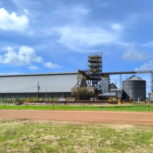 C.Vale amplia presença em Mato Grosso com novas unidades de grãos – Agrimidia