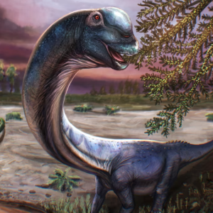 Nova espécie de dinossauro pescoçudo maior que T-Rex é descoberta; veja