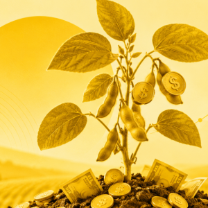 Suno Asset abre 3ª emissão do Fiagro para captar R$ 120,3 milhões