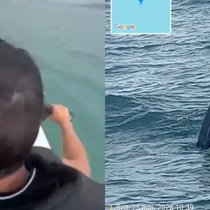 Mulher encontrada após sumir em alto-mar: o que sabemos sobre o caso