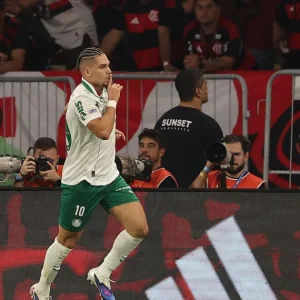 Palmeiras confortável e São Paulo em crise: o resumo do dia de Brasileirão