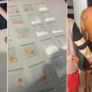 faccionados escondiam drogas dentro de urso em MT