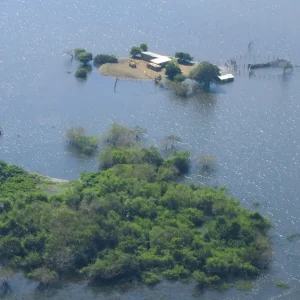 Pantanal registra recuperação parcial dos rios, mas cheia segue abaixo da média histórica