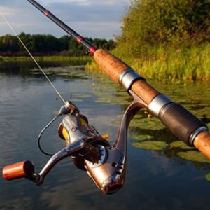 Pescador morre após ataque de abelhas em propriedade rural