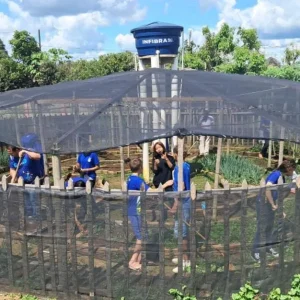 Horta escolar em transforma ensino em MT