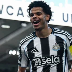 Newcastle vence e deixa West Ham perto do rebaixamento na Premier League