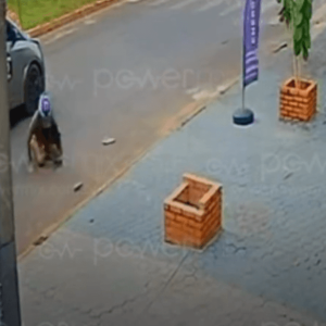Câmera flagra batida entre carro e moto em cruzamento; assista – Olhar Jurídico