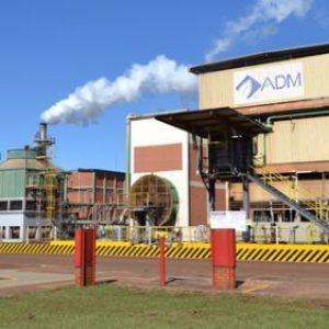 ADM abre mais de 500 vagas de trabalho temporário em Mato Grosso • Olhar Direto