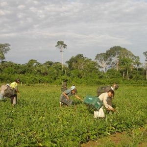 Prêmio para produção acadêmica destaca agricultura familiar