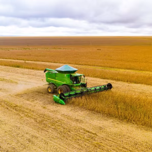 Área de soja cresceu quase 300 mil hectares em dois Estados