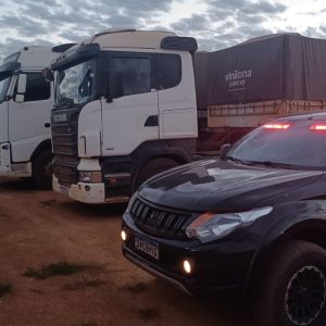 Grupo usava documentos falsos para furtar cargas de soja avaliadas em R$ 500 mil