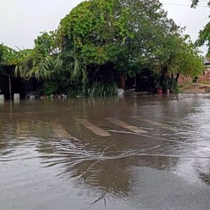 Temporal no RS deixa desalojados e provoca danos em 19 cidades