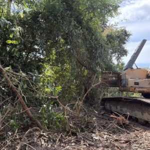 Homem recebe multa de R$100 mil após destruir retroescavadeira ao ser flagrado extraindo minério ilegalmente em MT