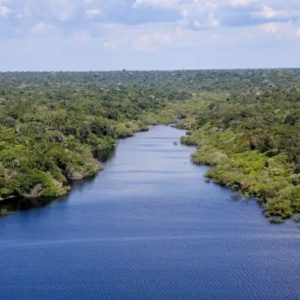 Case isolado não anula o risco de savanização da Amazônia